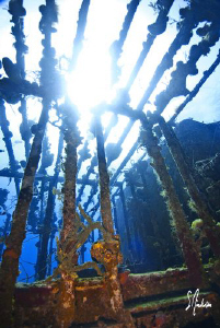My favorite wreck off Nassau - The Willaurie - lots of co... by Steven Anderson 